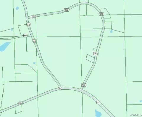 4849 Acres County Road 44 Rd, Eldridge, AL 35554