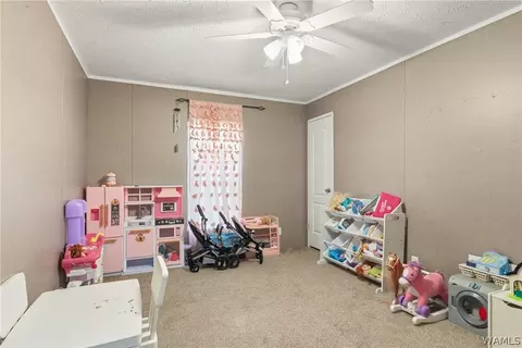 Other - 19781 Browney Dr, Vance, AL 35490 photo 10 of 13