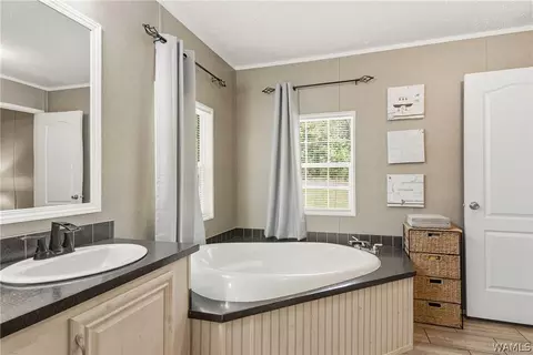 Bath - 19781 Browney Dr, Vance, AL 35490 photo 3 of 4