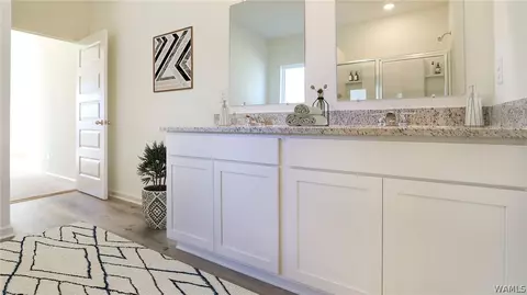 Bath - 18536 Trinity Dr, Vance, AL 35490 photo 1 of 3