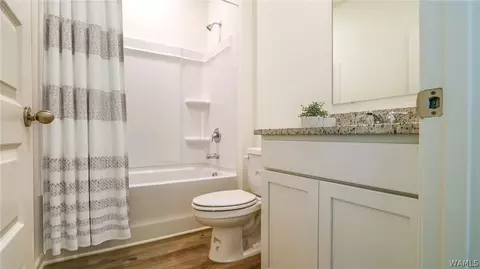 Bath - 18536 Trinity Dr, Vance, AL 35490 photo 3 of 3
