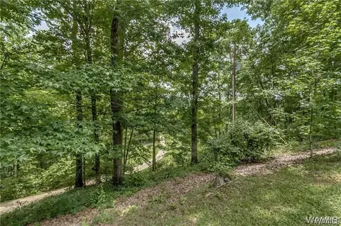 220 Short 24th Ave E, Tuscaloosa, AL 35404