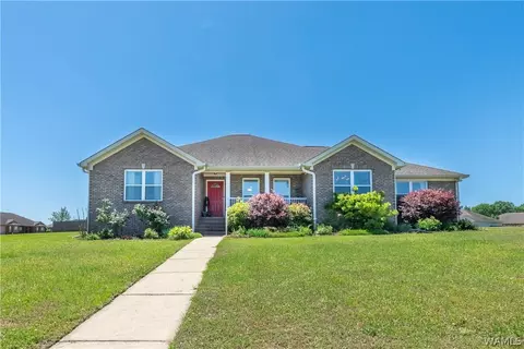 13906 Darden Ave, Northport, AL 35475