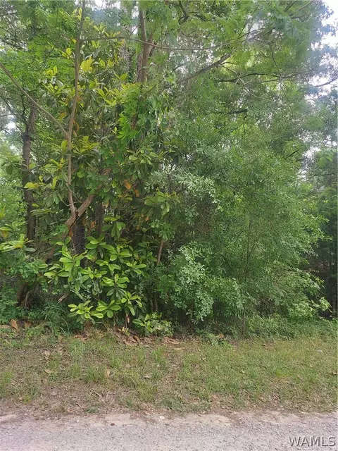 0 Jones Rd, Northport, AL 35473
