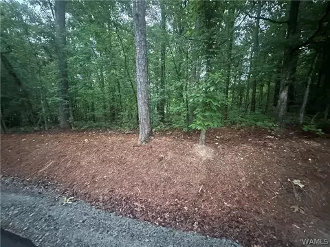 0 Crest Dr, Mc Calla, AL 35111 photo 1