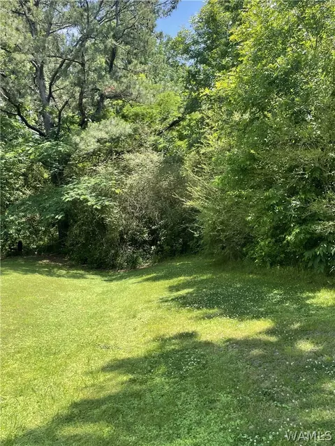 00 Rock Castle Ln, Vance, AL 35490