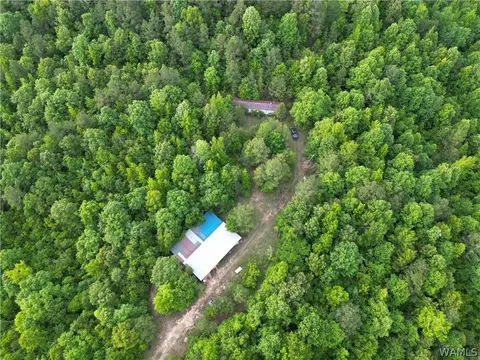 18526 Possom Ridge Rd, Kennedy, AL 35574