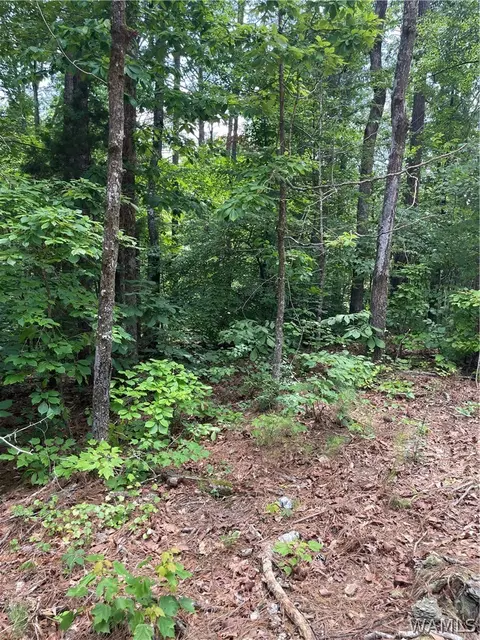 00 Mitchell Dr, Vance, AL 35490 photo 2