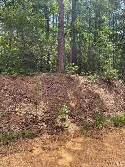 00 Mitchell Dr, Vance, AL 35490
