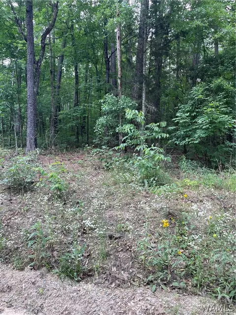 0 Muriel Dr, Vance, AL 35490