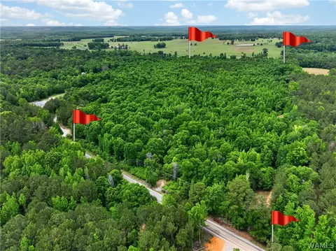 00 Romulus Rd, Ralph, AL 35480 photo 3