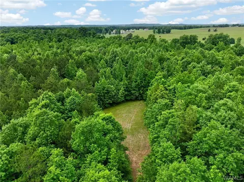 00 Romulus Rd, Ralph, AL 35480 photo 9
