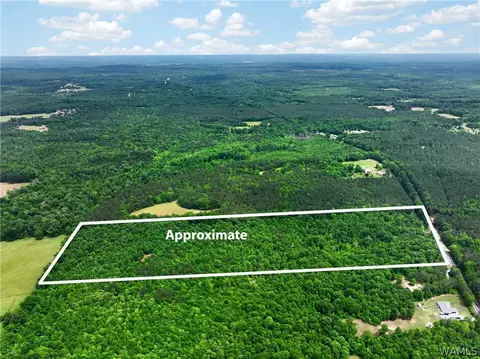 00 Romulus Rd, Ralph, AL 35480