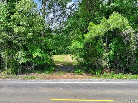 00 Romulus Rd, Ralph, AL 35480 photo 4