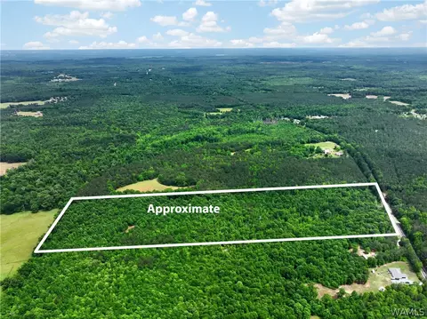 00 Romulus Rd, Ralph, AL 35480