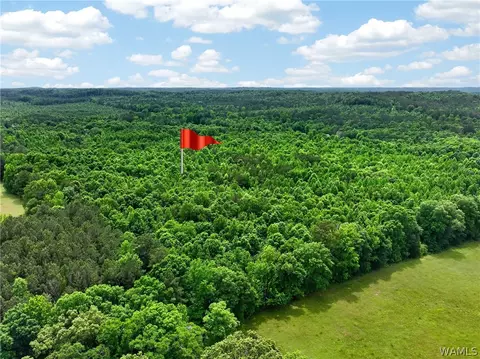 00 Romulus Rd, Ralph, AL 35480 photo 13