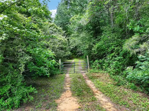 00 Romulus Rd, Ralph, AL 35480 photo 5