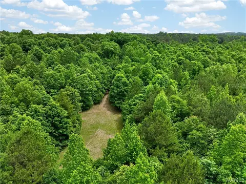 00 Romulus Rd, Ralph, AL 35480 photo 8