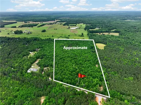 00 Romulus Rd, Ralph, AL 35480 photo 10