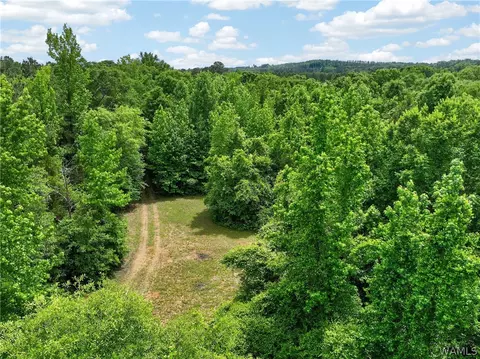 00 Romulus Rd, Ralph, AL 35480 photo 6