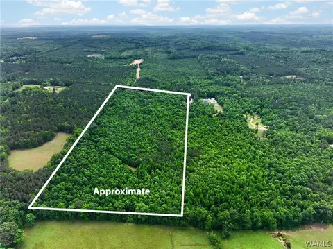 00 Romulus Rd, Ralph, AL 35480 photo 2