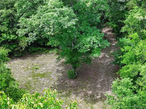 00 Romulus Rd, Ralph, AL 35480 photo 16
