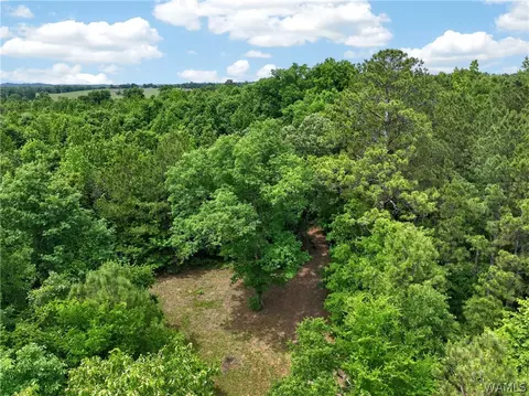 00 Romulus Rd, Ralph, AL 35480 photo 15