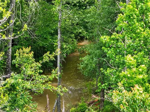 00 Romulus Rd, Ralph, AL 35480 photo 17