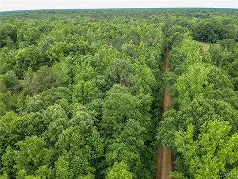 000 Carnation Rd, Sawyerville, AL 36776