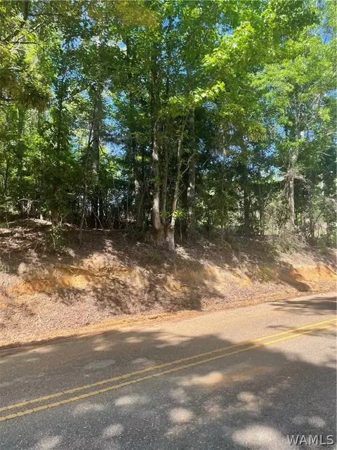00 Little Sandy Rd, Tuscaloosa, AL 35405