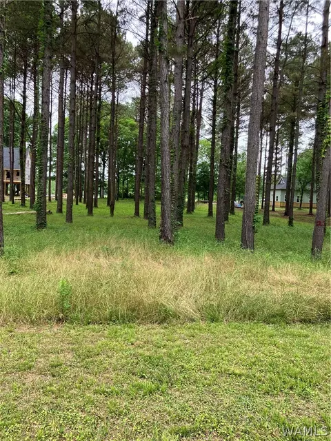lot29 Black Warrior Byu, Akron, AL 35441