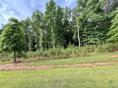 14220 Watercolor Dr, Northport, AL 35475