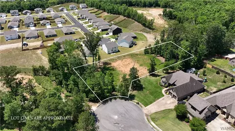 0 Tuliptree Ln, Northport, AL 35475