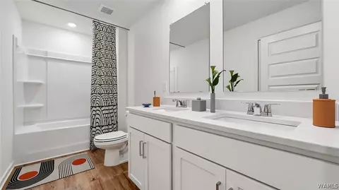 Bath - 12919 Hillman Ln, Lake View, AL 35111 photo 2 of 2