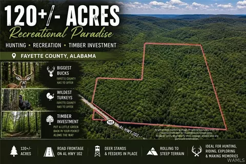 000 Al Hwy 102, Carbon Hill, AL 35549