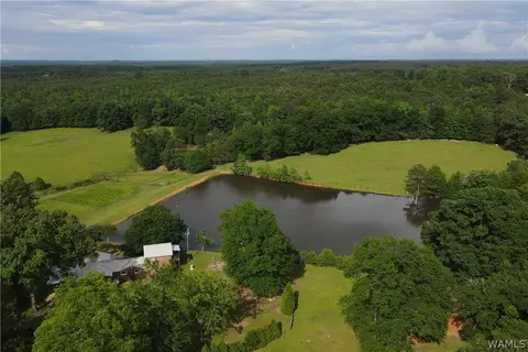 21193 Max Vintson Rd, Northport, AL 35475