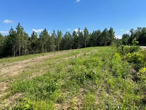 lot5 Longleaf, Tuscaloosa, AL 35406