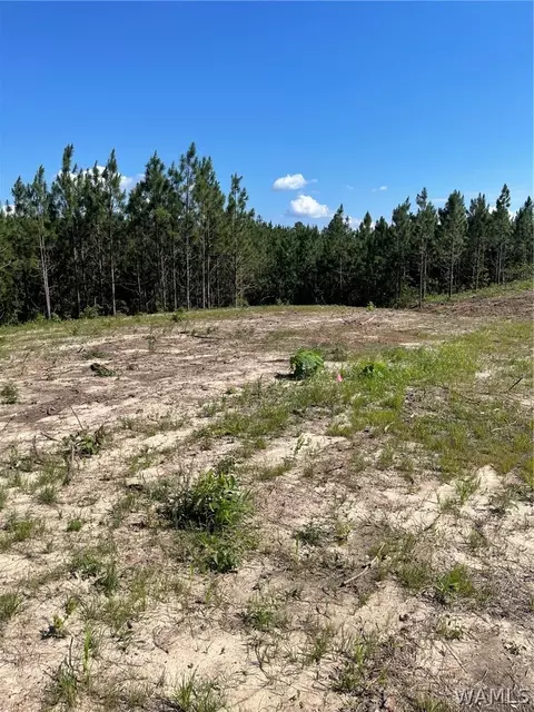 lot4 Longleaf, Tuscaloosa, AL 35406