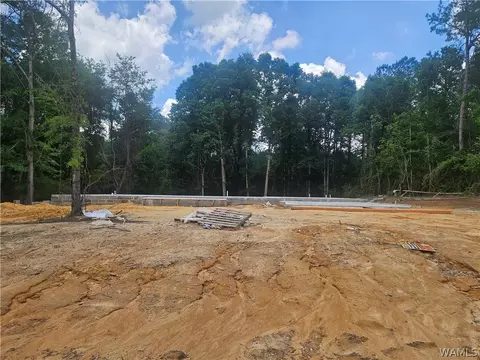 206 Magnolia Creek Dr, Gordo, AL 35463