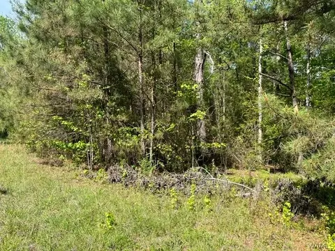 0 Doe Run Rd, Centreville, AL 35042