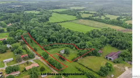 lot66 And 67 Jan Ave, Centreville, AL 35042