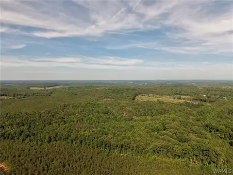 0000 Co Hwy 97, Detroit, AL 35552