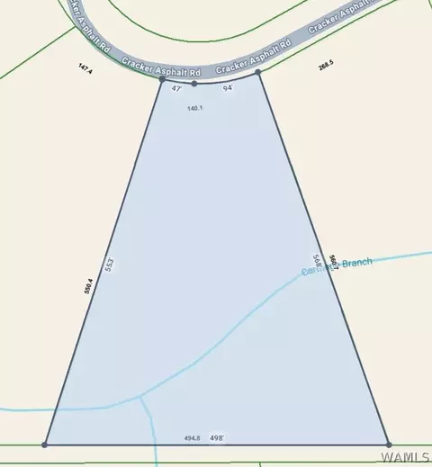 000 Cracker Asphalt Rd, Moundville, AL 35474