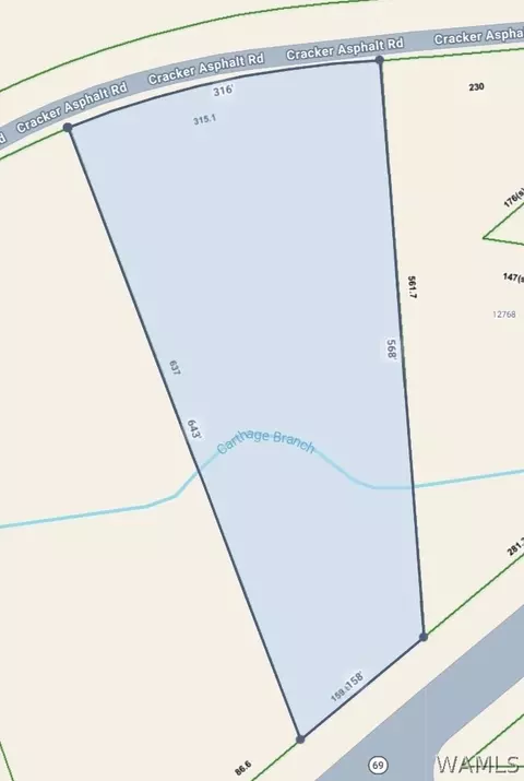 00000 Cracker Asphalt Rd, Moundville, AL 35474