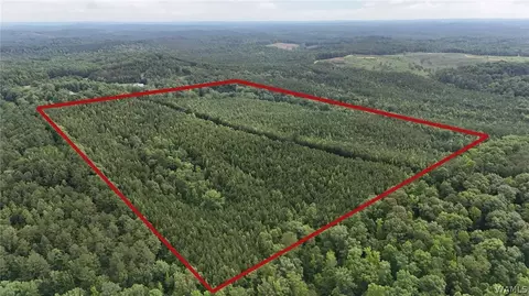 0 Skyview Lk, Cottondale, AL 35453