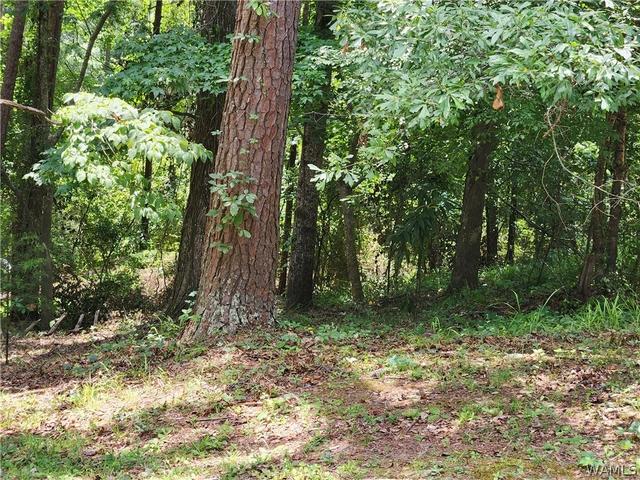 3833 Springhill Dr, Tuscaloosa, AL 35405