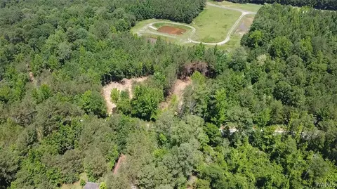 000 Lot 2 Bays Lake Rd, Bankston, AL 35542