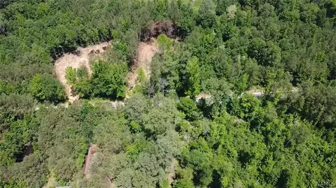 000 Lot 4 Bays Lake Rd, Bankston, AL 35542