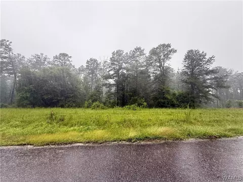 lot5 Freemans Bend Rd, Northport, AL 35475