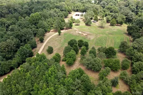 12441 Lesueur Rd, Northport, AL 35475